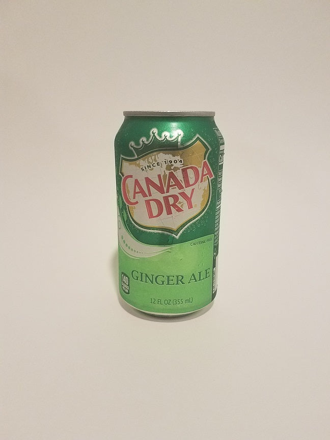 Ginger Ale Can 350ml