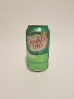 Ginger Ale Can 350ml