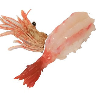 Sweet Shrimp Nigiri 4pc